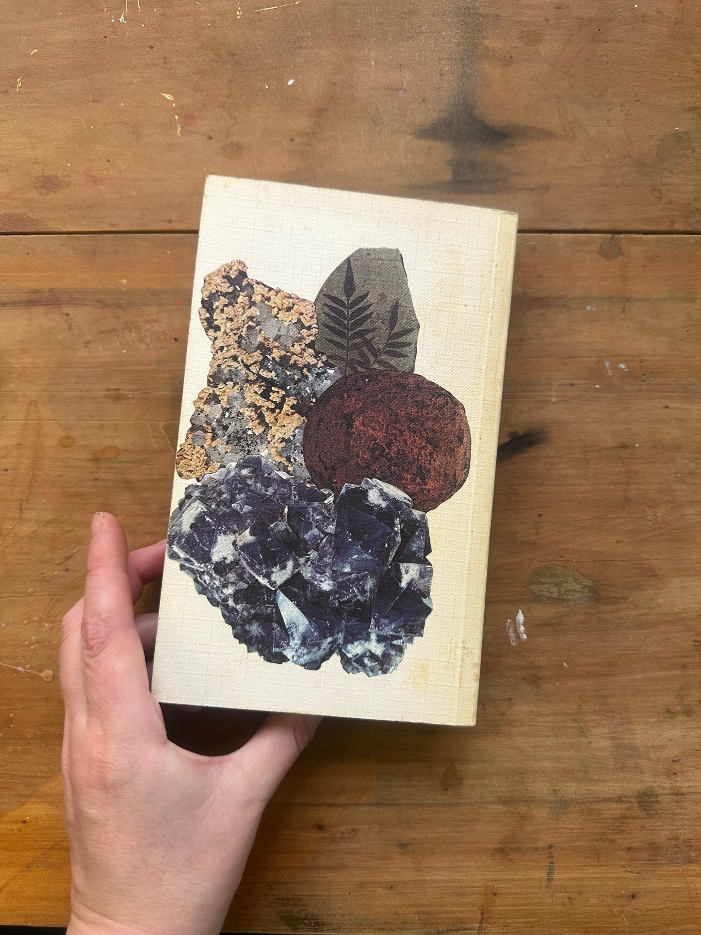 The Hamlyn Guide to Minerals, Rocks and Fossils — W. R. Hamilton, A. R. Woolley & A. C. Bishop