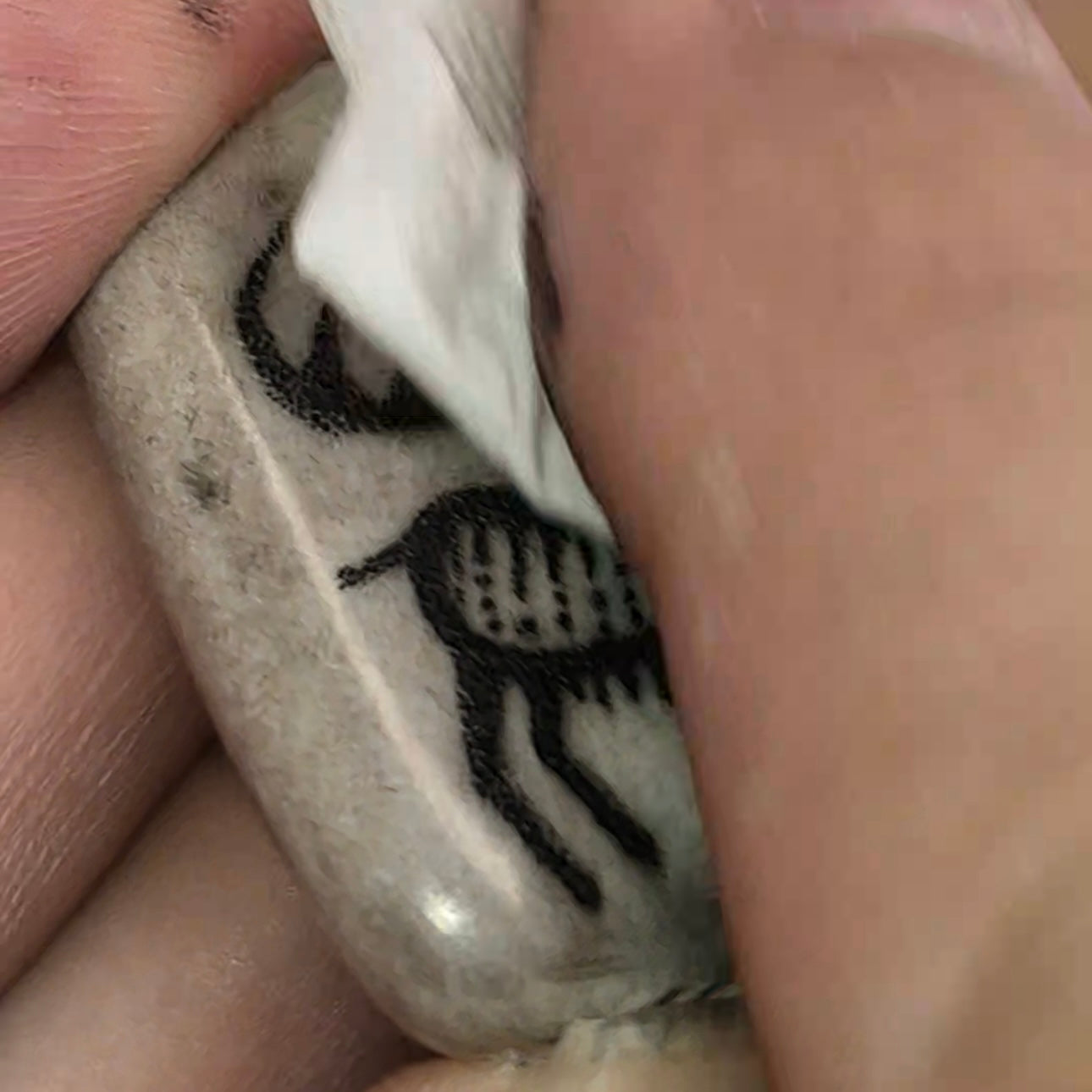 Scrimshaw Workshop