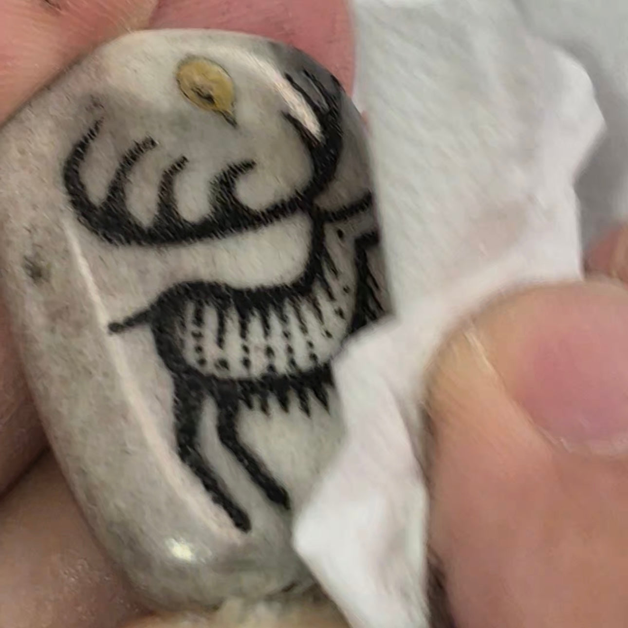 Scrimshaw Workshop