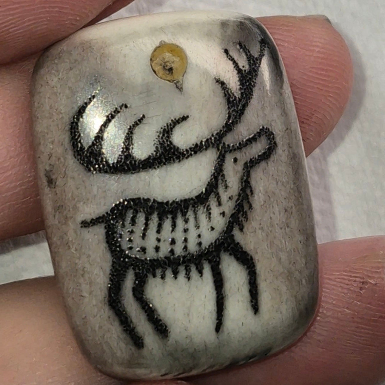 Scrimshaw Workshop