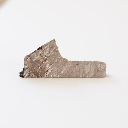 Gibeon Meteorite