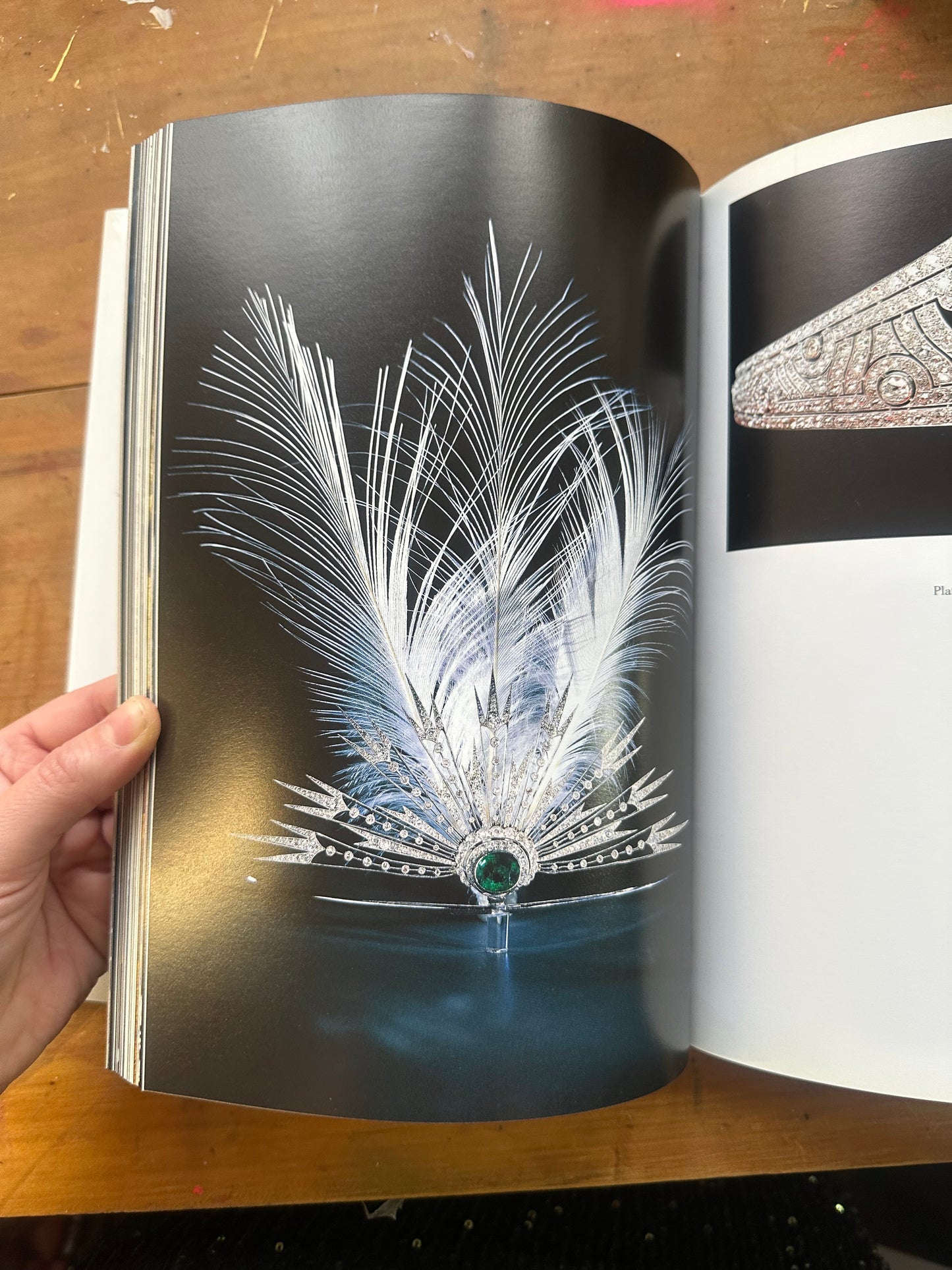 Timeless Tiaras — Diana Scarisbrick