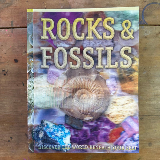 Rocks & Fossils