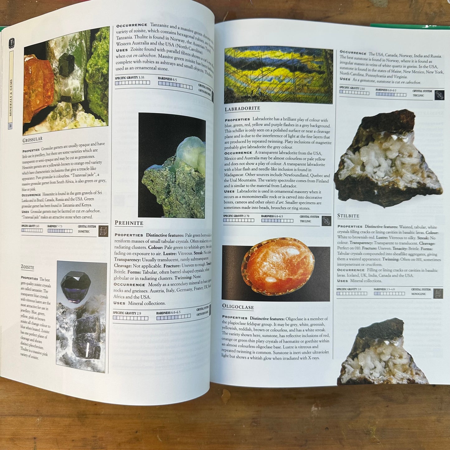 Rocks, Shells, Fossils, Minerals and Gems — The Complete Collector’s Companion (Edited by Harriet Stuart Jones)