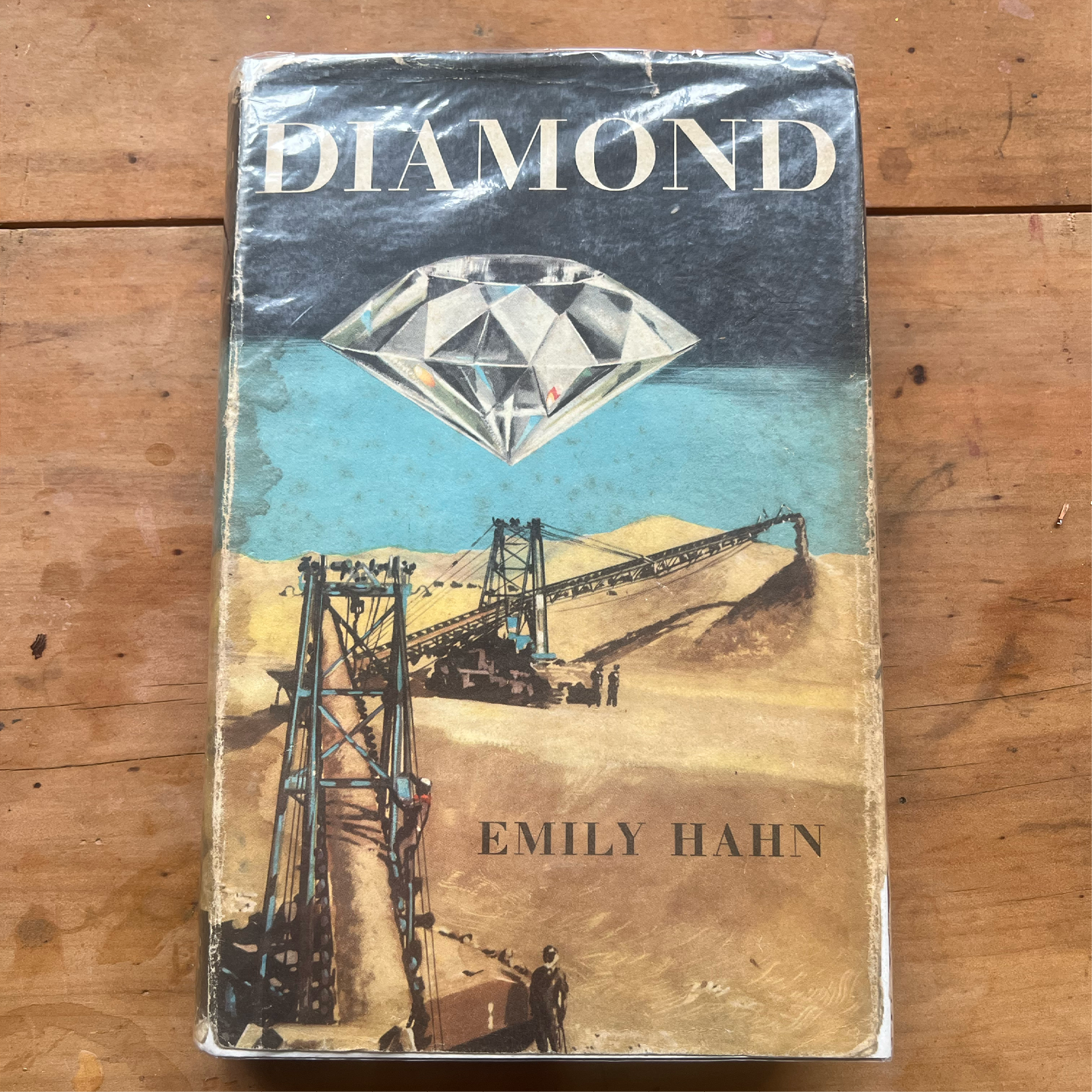 Diamond - Emily Hahn