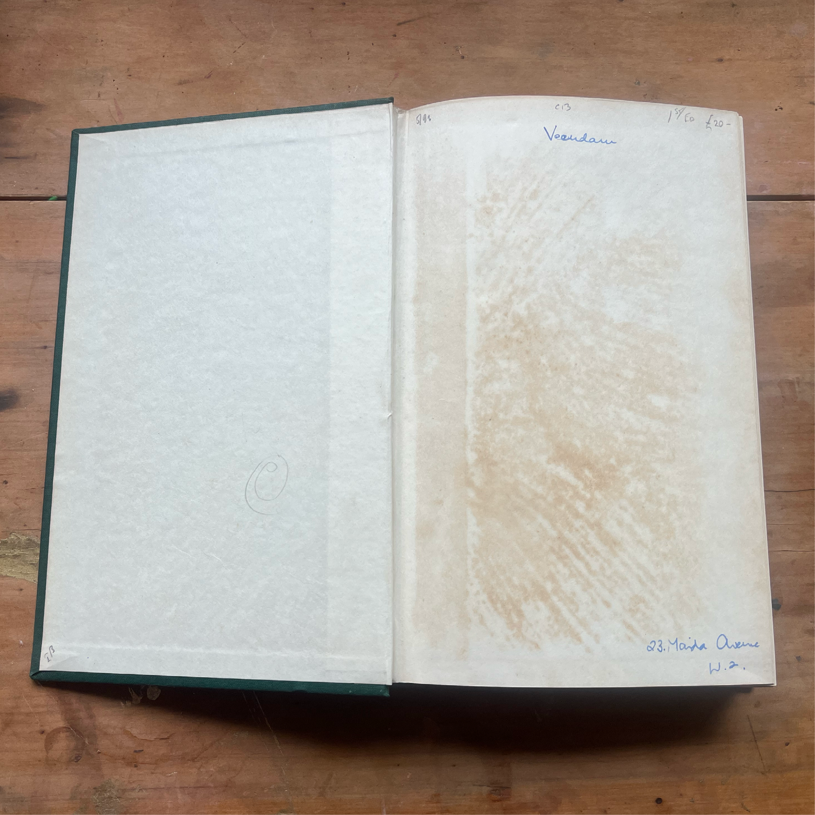 Diamond - Emily Hahn