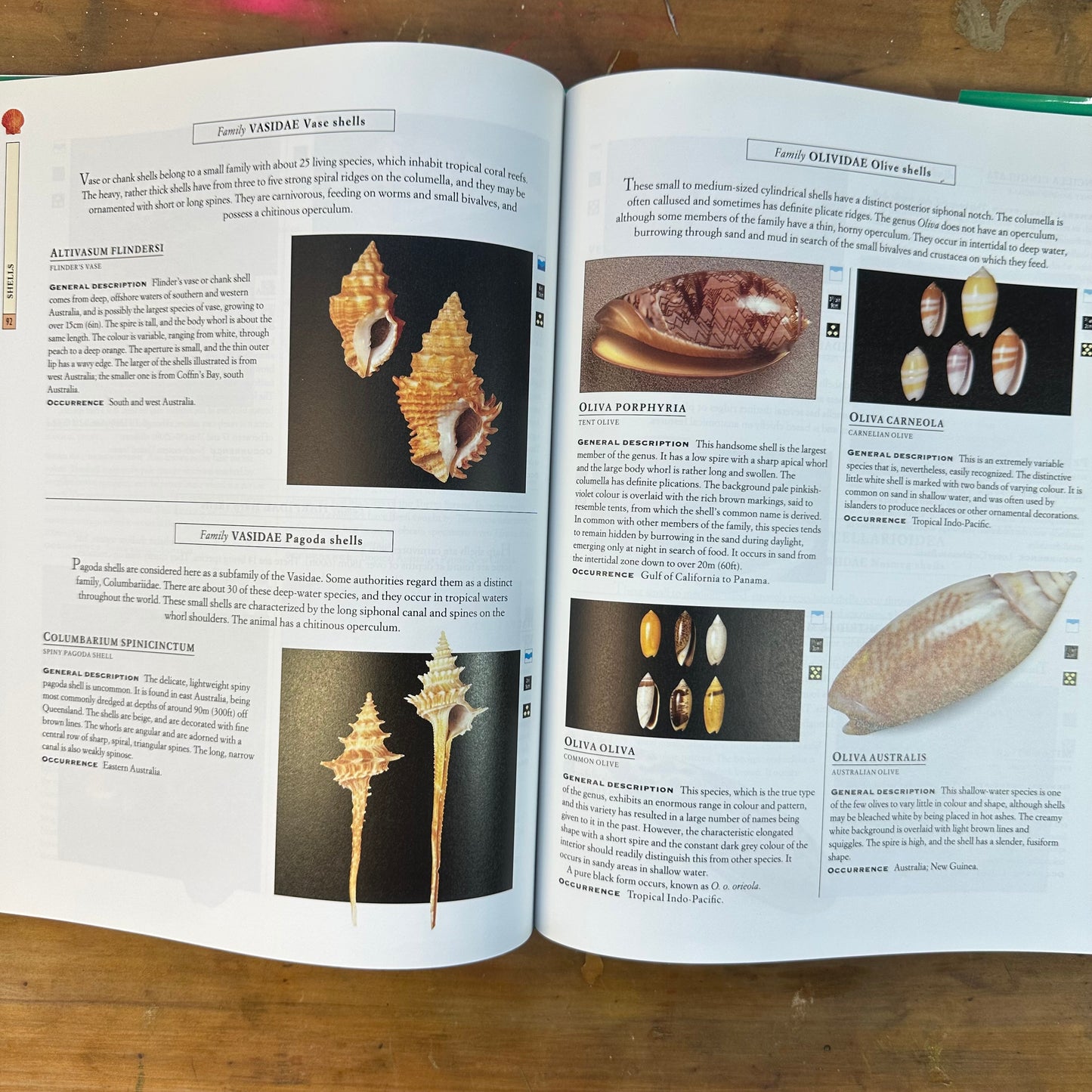 Rocks, Shells, Fossils, Minerals and Gems — The Complete Collector’s Companion (Edited by Harriet Stuart Jones)