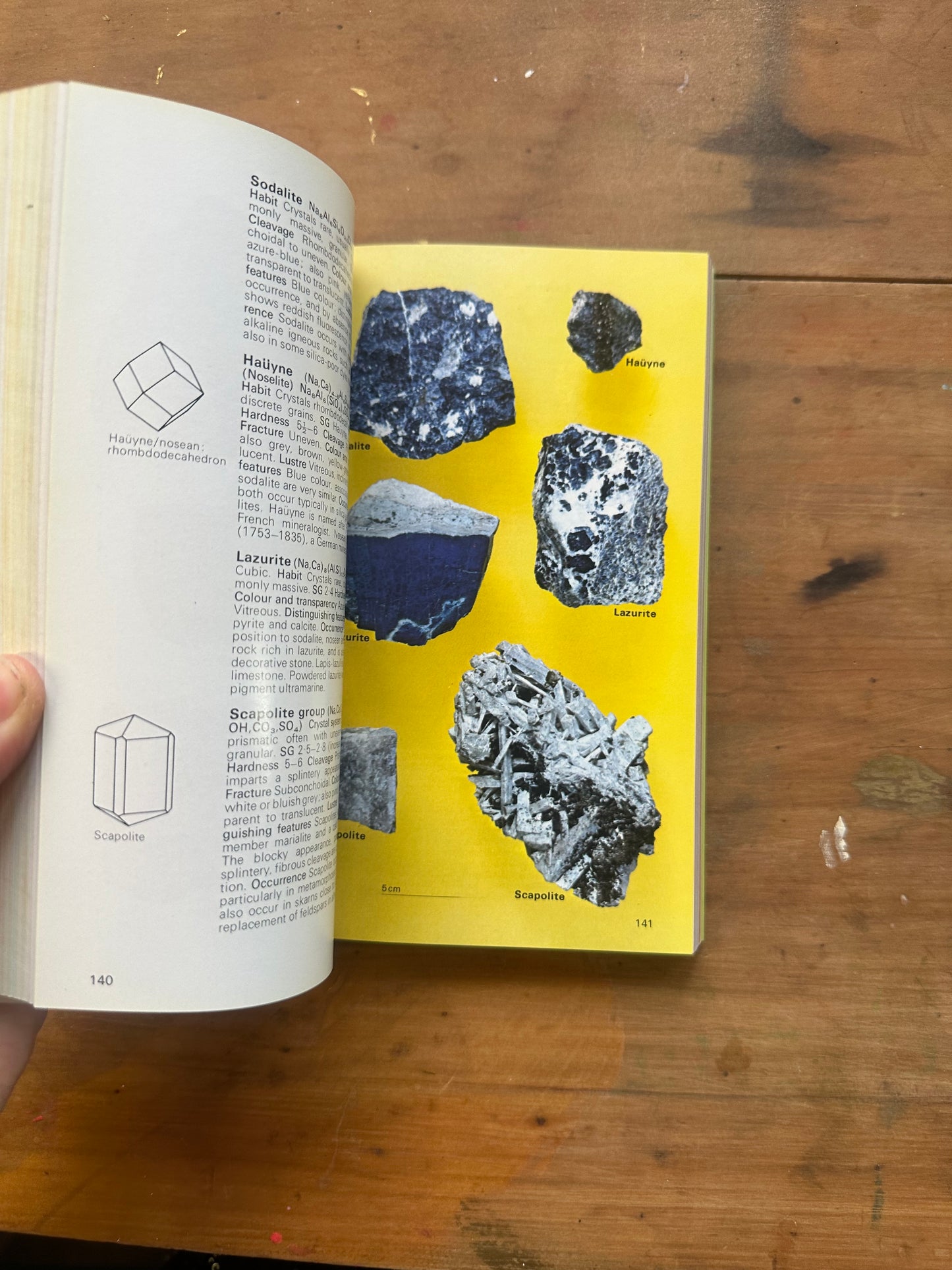 The Hamlyn Guide to Minerals, Rocks and Fossils — W. R. Hamilton, A. R. Woolley & A. C. Bishop