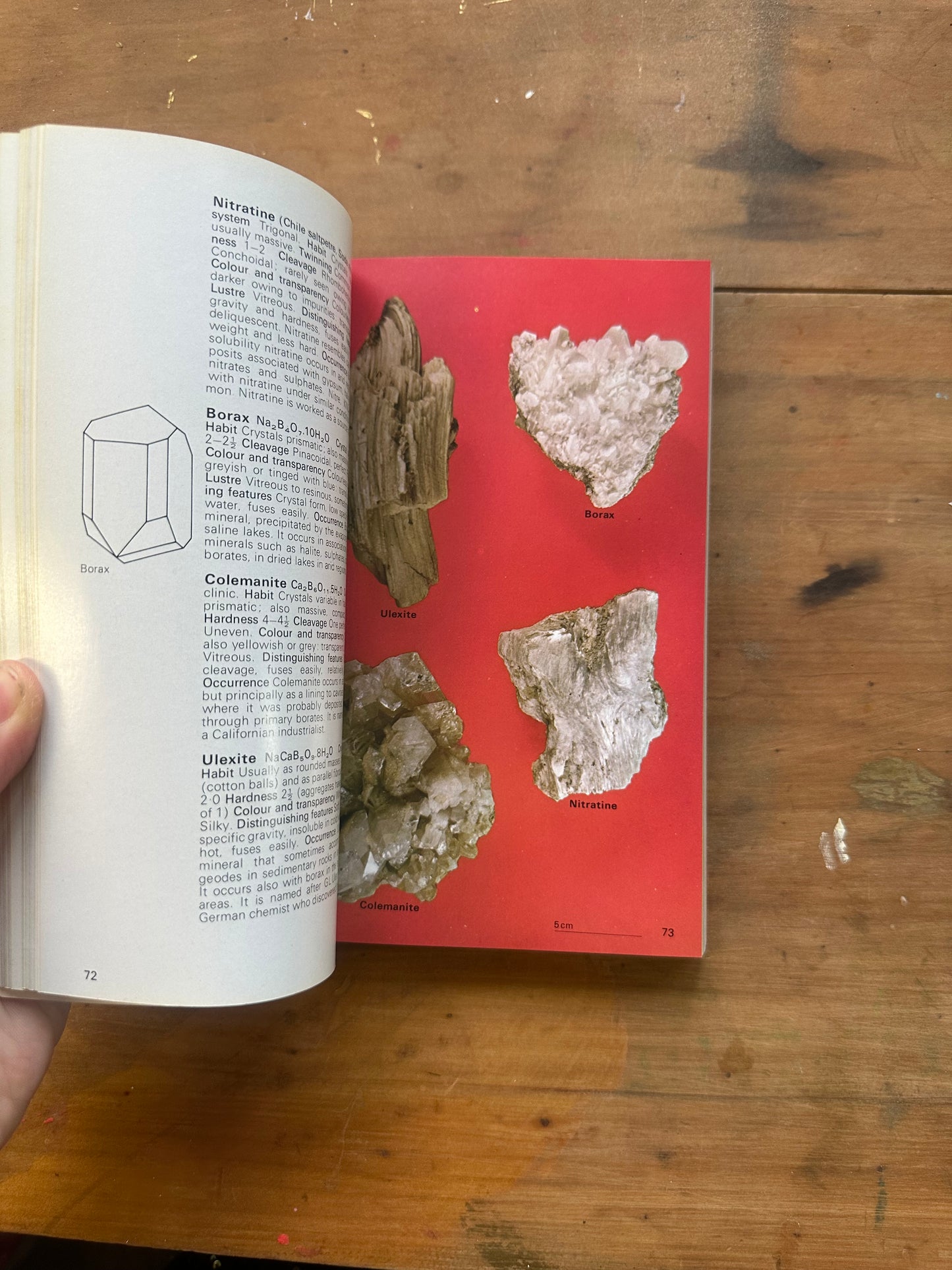 The Hamlyn Guide to Minerals, Rocks and Fossils — W. R. Hamilton, A. R. Woolley & A. C. Bishop