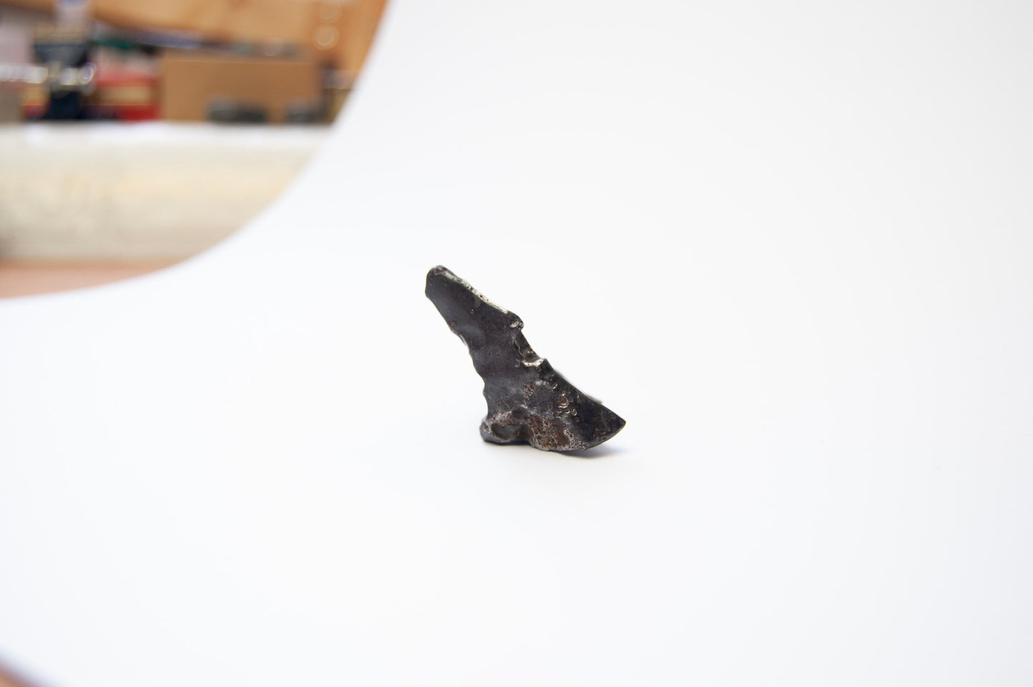Meteorite - Sikhote-Alin