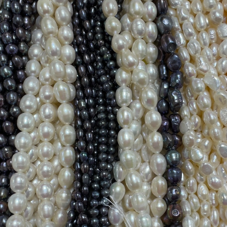 Ilona Biggins - Image 4